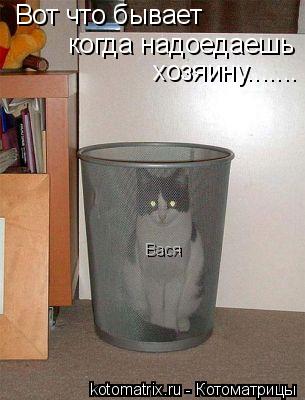 Вот что бывает когда надоедаешь хозяину....... Вася... Котоматрица: Вот что бывает когда надоедаешь хозяину....... Вася