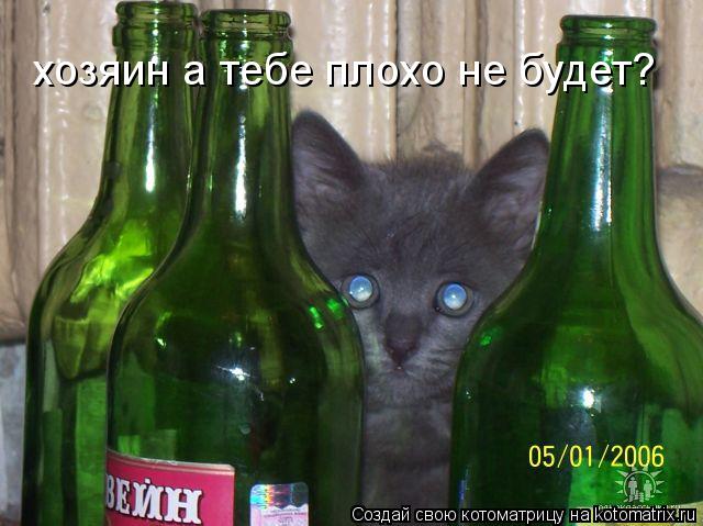 хозяин а тебе плохо не будет?... Котоматрица: хозяин а тебе плохо не будет?