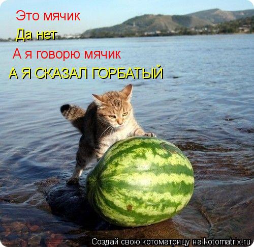 Это мячик Да нет А я говорю мячик А Я СКАЗАЛ ГОРБАТЫЙ... Котоматрица: Это мячик Да нет А я говорю мячик А Я СКАЗАЛ ГОРБАТЫЙ