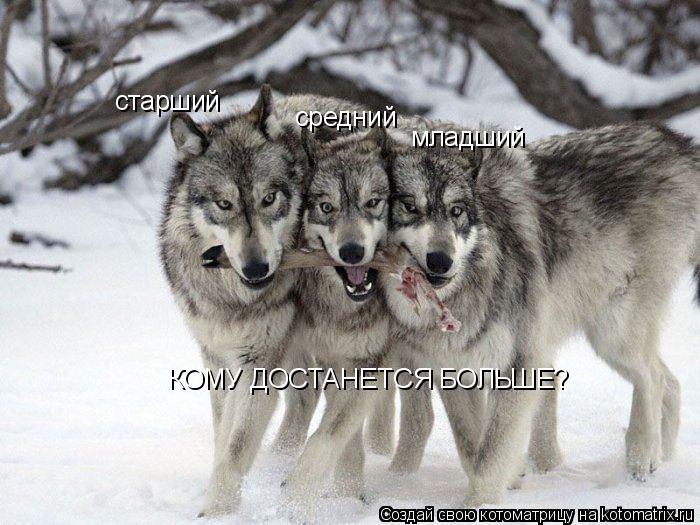 старший средний младший КОМУ ДОСТАНЕТСЯ БОЛЬШЕ?... Котоматрица: старший средний младший КОМУ ДОСТАНЕТСЯ БОЛЬШЕ?