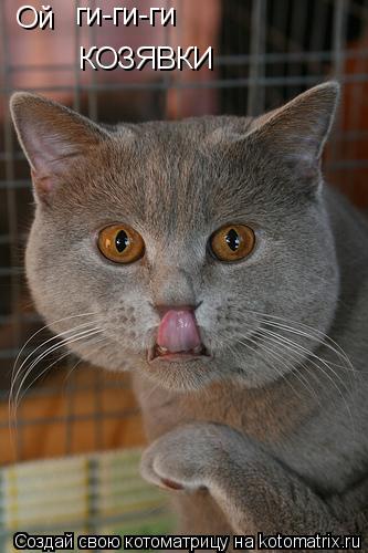 Ой ги-ги-ги КОЗЯВКИ... Котоматрица: Ой ги-ги-ги КОЗЯВКИ