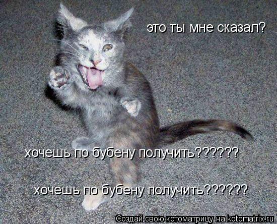 это ты мне сказал? хочешь по бубену получить?????? хочешь по бубену получить?????? хочешь по бубену п... Котоматрица: это ты мне сказал? хочешь по бубену получить?????? хочешь по бубену получить?????? хочешь по бубену получить??????
