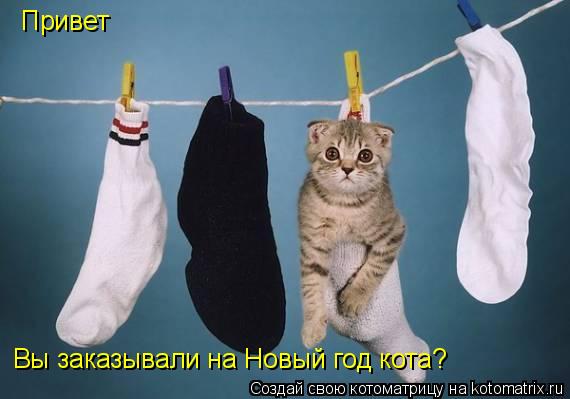 Привет Вы заказывали на Новый год кота?... Котоматрица: Привет Вы заказывали на Новый год кота?