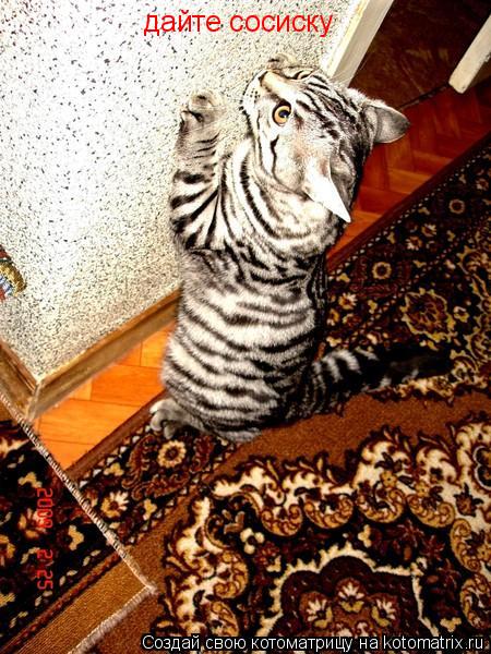 дайте сосиску... Котоматрица: дайте сосиску
