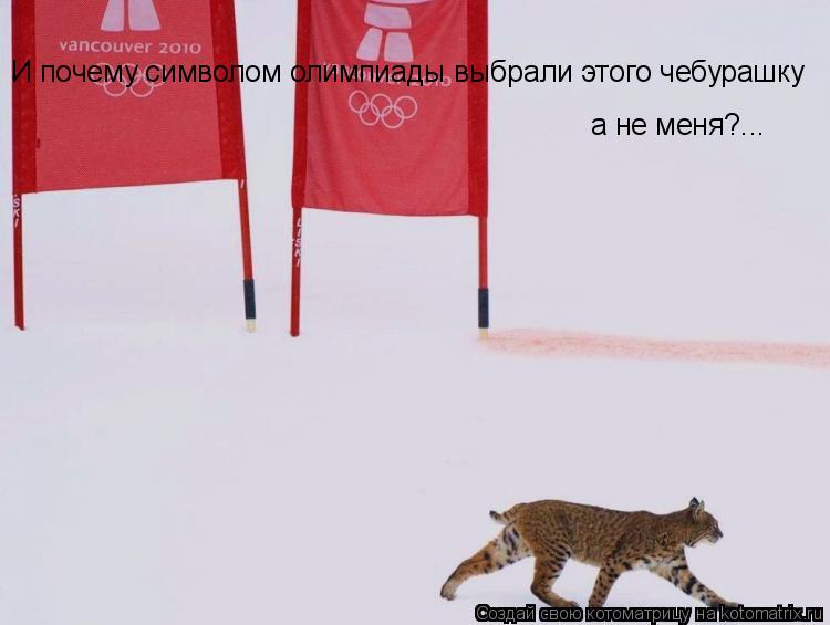 И почему символом олимпиады выбрали этого чебурашку а не меня?...... Котоматрица: И почему символом олимпиады выбрали этого чебурашку а не меня?...