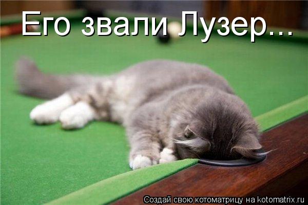Котоматрица: Его звали Лузер...