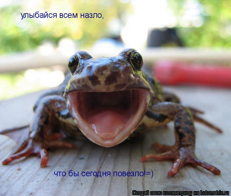 Котоматрица: улыбайся всем назло, что бы сегодня повезло!=)