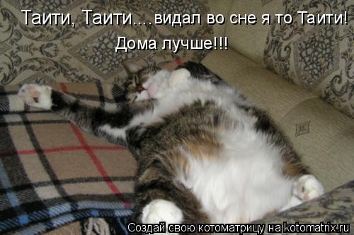 Таити, Таити.... видал во сне я то Таити! Дома лучше!!!... Котоматрица: Таити, Таити.... видал во сне я то Таити! Дома лучше!!!