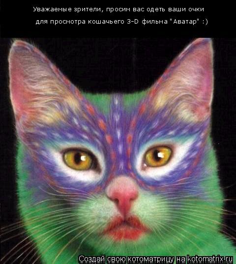 Котоматрица: Уважаемые зрители, просим вас одеть ваши очки  для просмотра кошачьего 3-D фильма "Аватар" :)