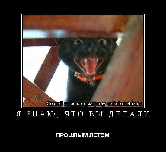Котоматрица: Я ЗНАЮ, ЧТО ВЫ ДЕЛАЛИ ПРОШЛЫМ ЛЕТОМ