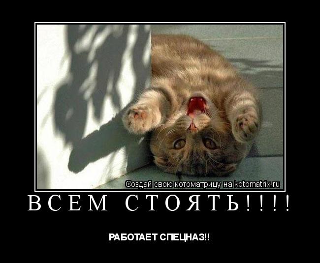 Котоматрица: ВСЕМ СТОЯТЬ!!!! РАБОТАЕТ СПЕЦНАЗ!!