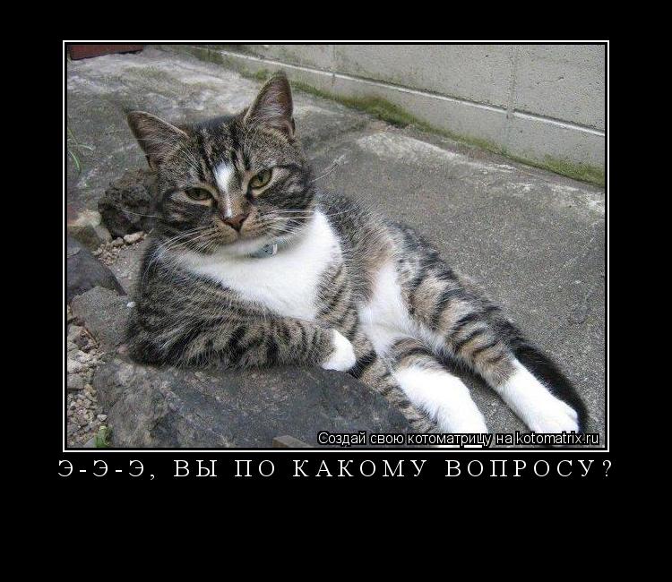Котоматрица: Э-Э-Э, ВЫ ПО КАКОМУ ВОПРОСУ? 