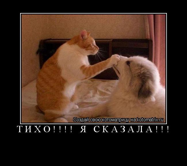 Котоматрица: ТИХО!!!! Я СКАЗАЛА!!! 