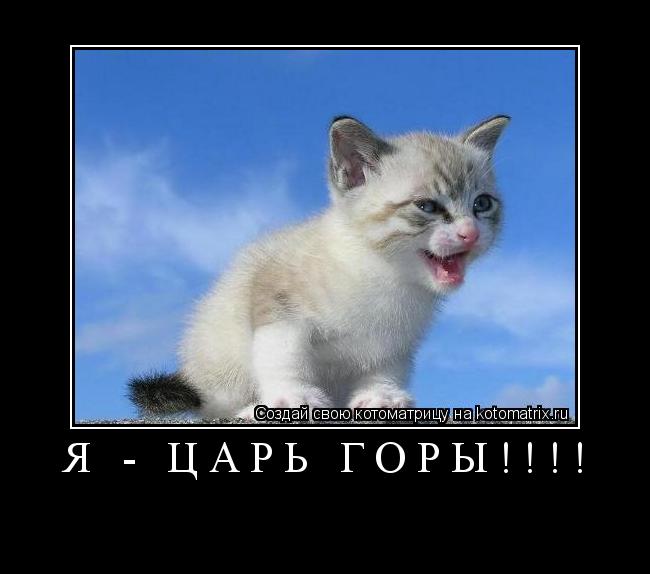 Котоматрица: Я - ЦАРЬ ГОРЫ!!!! 