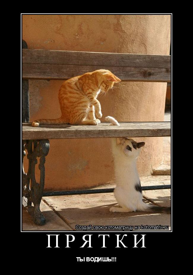 Котоматрица: ПРЯТКИ ТЫ ВОДИШЬ!!!
