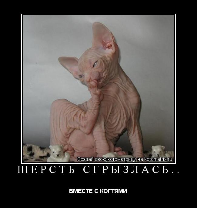 Котоматрица: ШЕРСТЬ СГРЫЗЛАСЬ.. ВМЕСТЕ С КОГТЯМИ