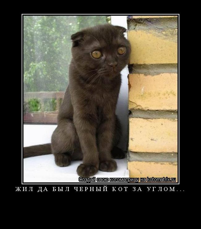 Котоматрица: ЖИЛ ДА БЫЛ ЧЕРНЫЙ КОТ ЗА УГЛОМ... 