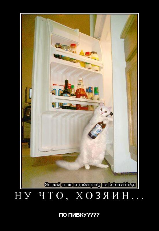 Котоматрица: НУ ЧТО, ХОЗЯИН... ПО ПИВКУ????