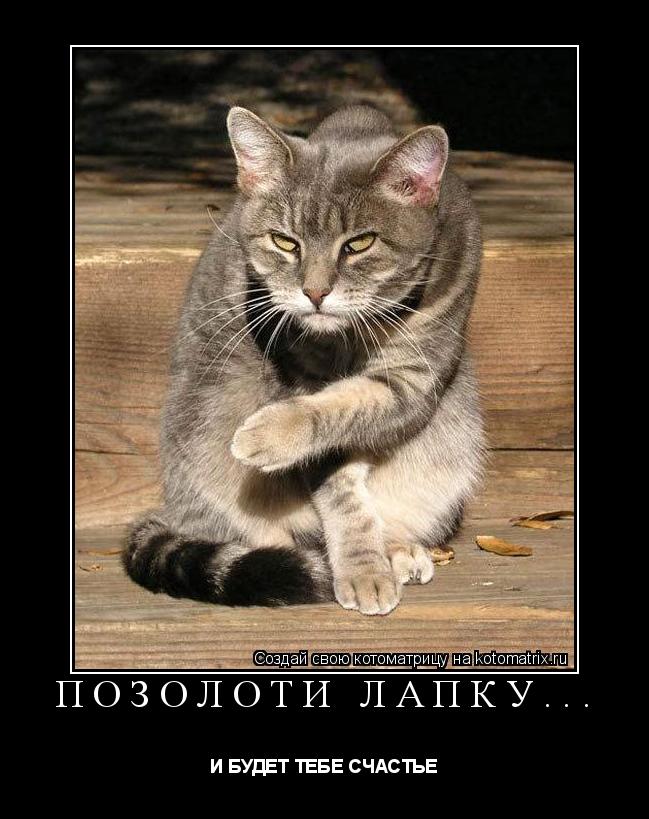 Котоматрица: ПОЗОЛОТИ ЛАПКУ... И БУДЕТ ТЕБЕ СЧАСТЬЕ