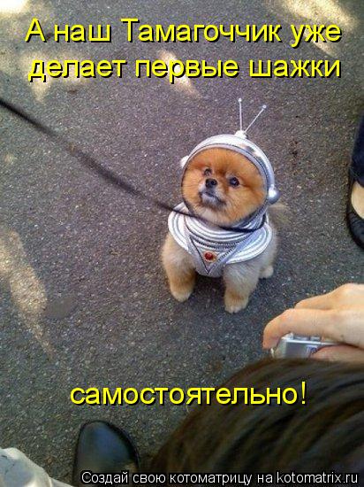 Котоматрица: А наш Тамагоччик уже делает первые шажки самостоятельно!