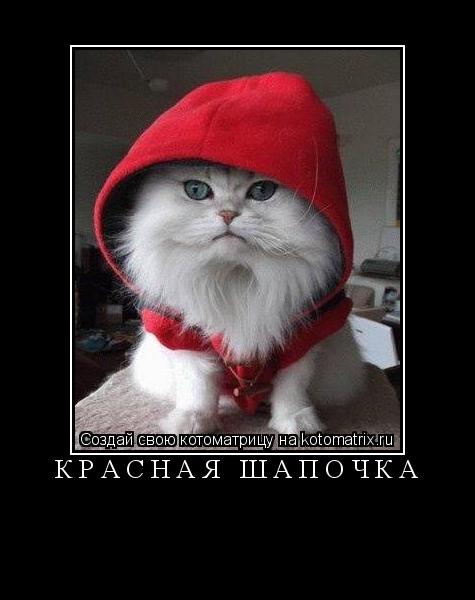 Котоматрица: КРАСНАЯ ШАПОЧКА 