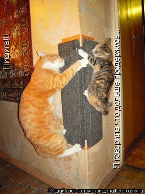 Котоматрица: Я говорила что дольше продержусь... Нифига!!!
