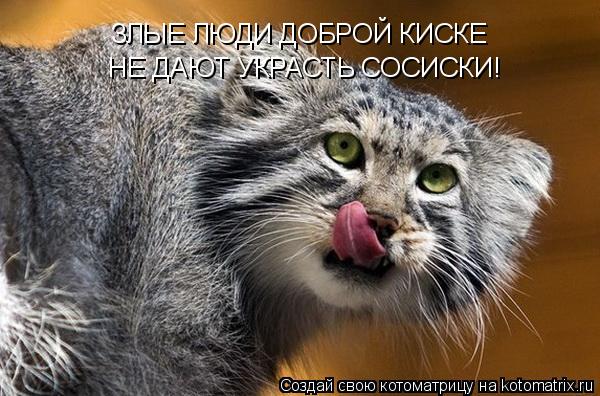 Котоматрица: ЗЛЫЕ ЛЮДИ ДОБРОЙ КИСКЕ  НЕ ДАЮТ УКРАСТЬ СОСИСКИ!