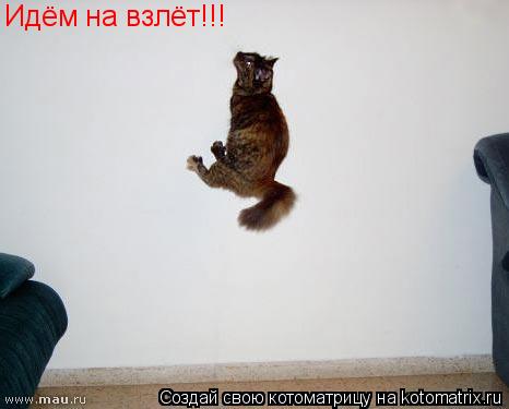 Котоматрица: Идём на взлёт!!!