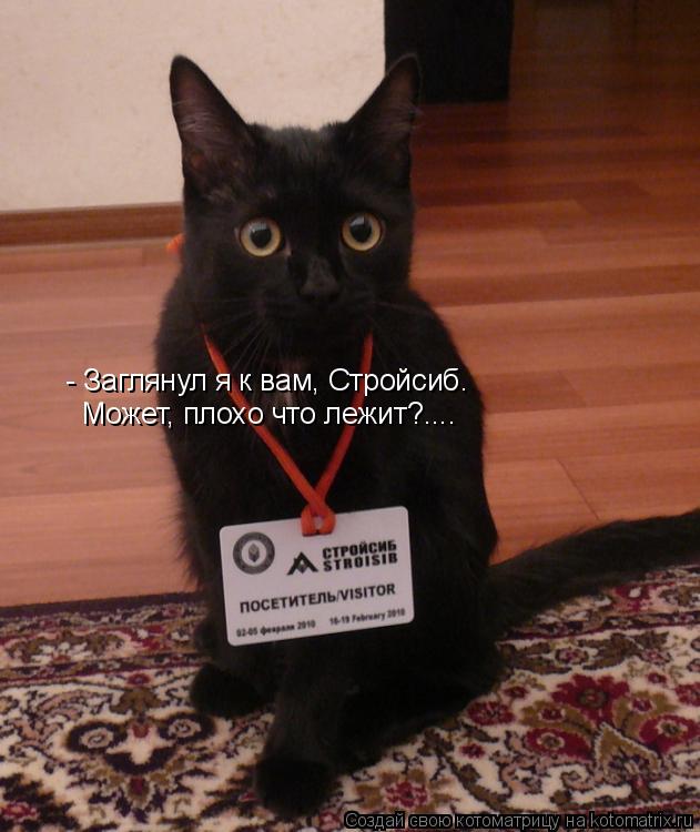 Котоматрица: - Заглянул я к вам, Стройсиб. Может, плохо что лежит?....