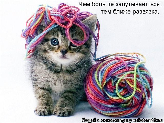 Котоматрица: Чем больше запутываешься,  тем ближе развязка.