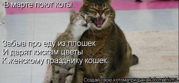 Котоматрица: В марте поют коты. Забыв про еду из плошек И дарят кискам цветы К женскому празднику кошек.