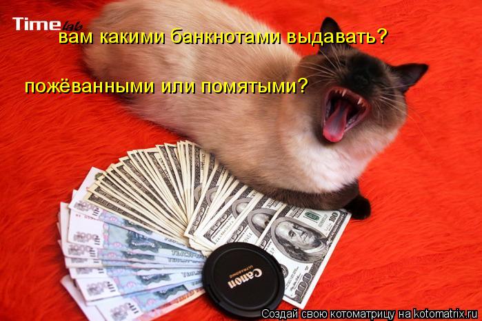 Котоматрица: вам какими банкнотами выдавать? пожёванными или помятыми?