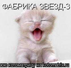 Котоматрица: ФАБРИКА ЗВЕЗД-3