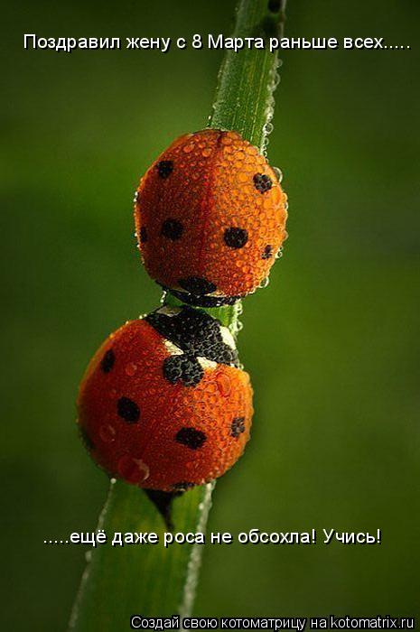 Котоматрица: Поздравил жену с 8 Марта раньше всех..... .....ещё даже роса не обсохла! Учись!