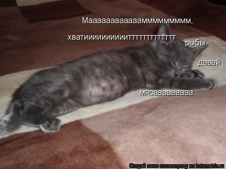 Котоматрица: Мааааааааааааммммммммм, хватииииииииииттттттттттттт рыбы давай мясааааааааа