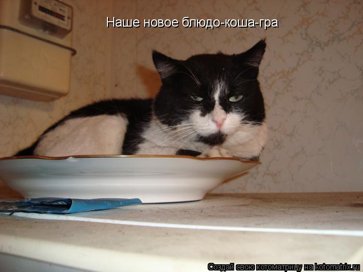Котоматрица: Наше новое блюдо-коша-гра