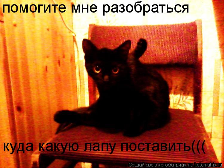 Котоматрица: помогите мне разобраться куда какую лапу поставить(((
