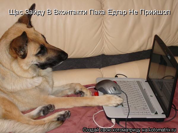 Котоматрица: Щас Зайду В Вконтакти Пака Едгар Не Прийшол Щас Зайду В Вконтакти Пака Едгар Не Прийшол