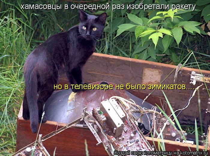 Котоматрица: хамасовцы в очередной раз изобретали ракету но в телевизоре не было зимикатов......