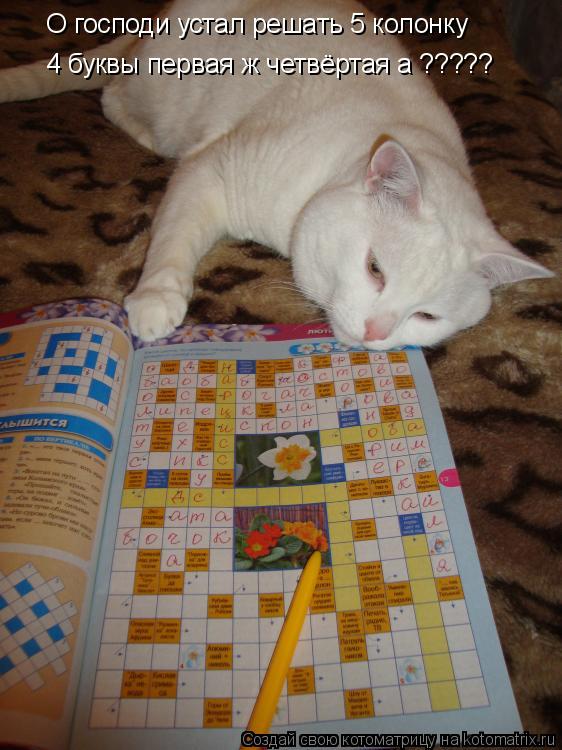 Котоматрица: О господи устал решать 5 колонку  4 буквы первая ж четвёртая а ?????