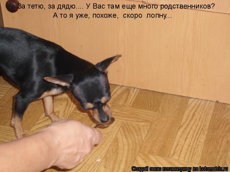 За тетю, за дядю…... У Вас там еще много родственников? А то я уже, похоже, скоро лопну…..... Котоматрица: За тетю, за дядю…... У Вас там еще много родственников? А то я уже, похоже, скоро лопну…..