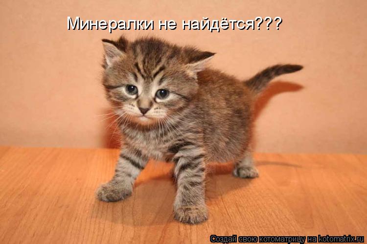 Котоматрица: Минералки не найдётся???