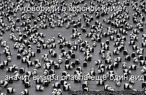 Котоматрица: А говорили в красной книге. Иш как виагра то действует А говорили в красной книге. значит виагра спасла ещё один вид