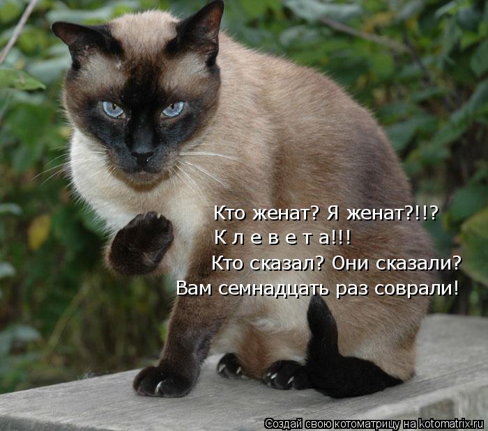 Кто женат? Я женат?!!? К л е в е т а!!! Кто сказал? Они сказали? Вам семнадцать раз соврали!... Котоматрица: Кто женат? Я женат?!!? К л е в е т а!!! Кто сказал? Они сказали? Вам семнадцать раз соврали!
