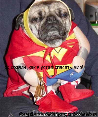 Котоматрица: эх,хозяин ,как я устал спасать мир!