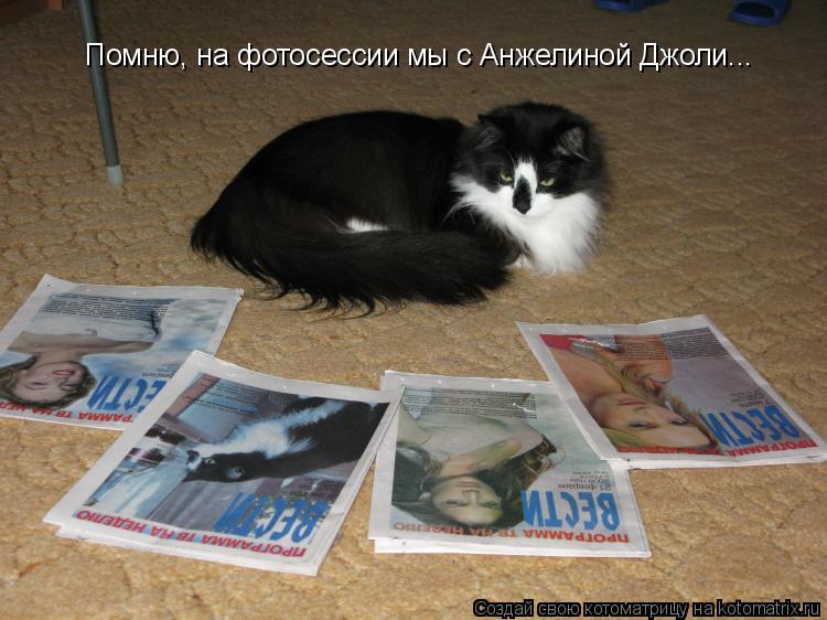 Котоматрица: Помню, на фотосессии мы с Анжелиной Джоли...