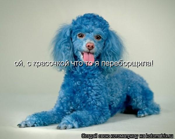 Котоматрица: ой, с красочкой что то я переборщила!