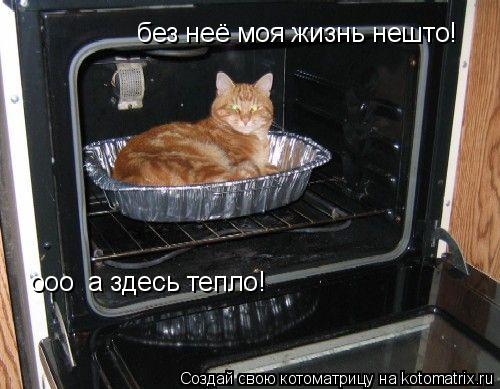 Котоматрица: без неё моя жизнь нешто!  без неё моя жизнь нешто!  ооо  а здесь тепло! ооо  а здесь тепло!