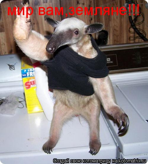 Котоматрица: мир вам,земляне!!!