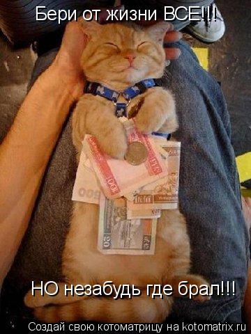 Котоматрица: НО незабудь где брал!!! Бери от жизни ВСЕ!!!